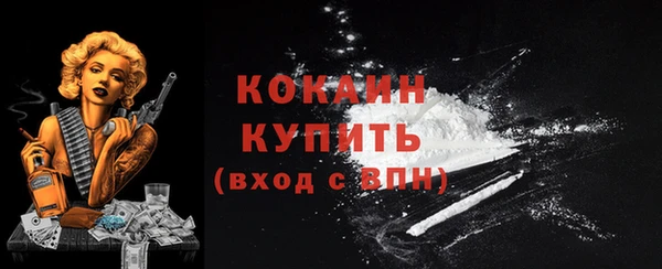 индика Армянск