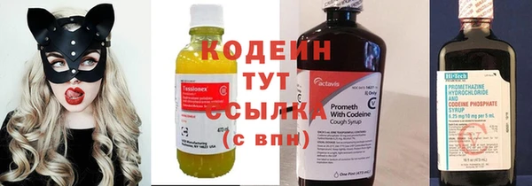 индика Армянск