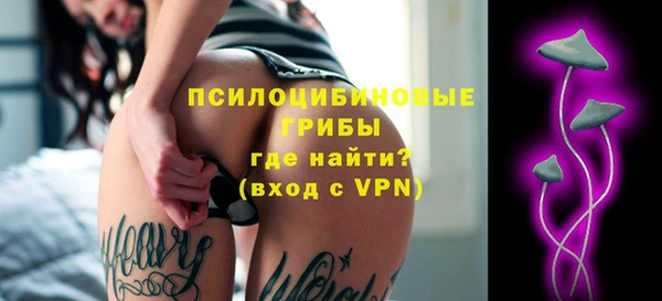 индика Армянск