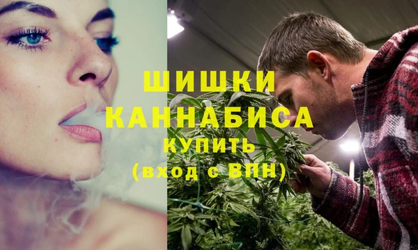 бошки Аркадак