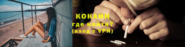 индика Армянск