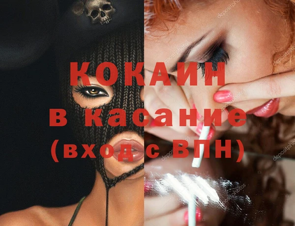 индика Армянск