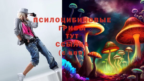 МДМА Арсеньев
