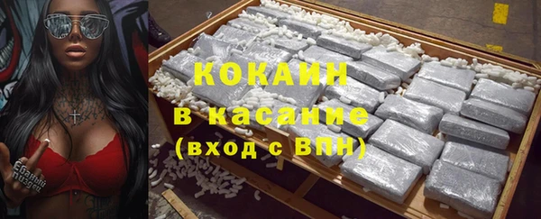 бошки Аркадак