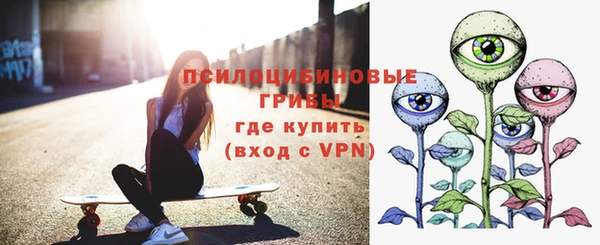 индика Армянск