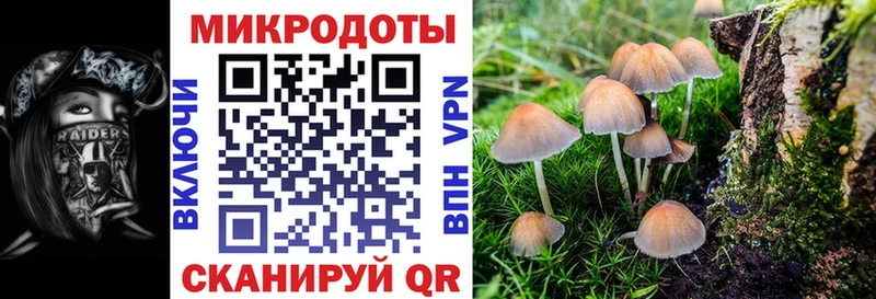 Галлюциногенные грибы MAGIC MUSHROOMS купить наркотик блэк спрут tor Лагань