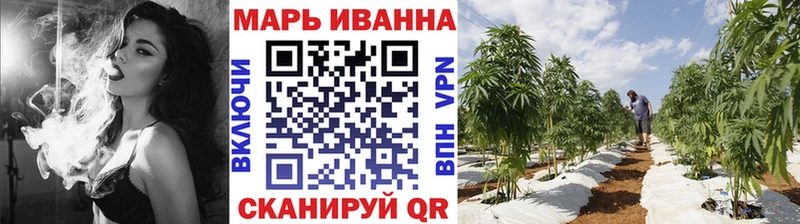 Канабис сатива  Лагань 